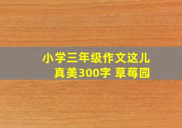 小学三年级作文这儿真美300字 草莓园